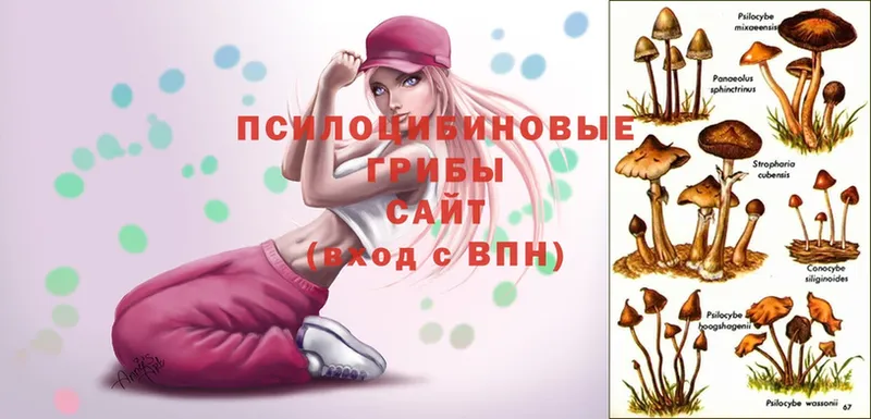 Галлюциногенные грибы Magic Shrooms  что такое   Бикин 